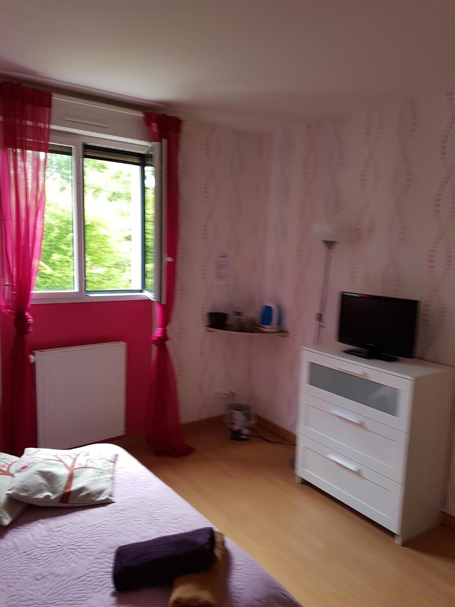 อาร์ก อ็อง เซียล ช็องบร์ โดต Hotel Arques-la-Bataille ห้อง รูปภาพ